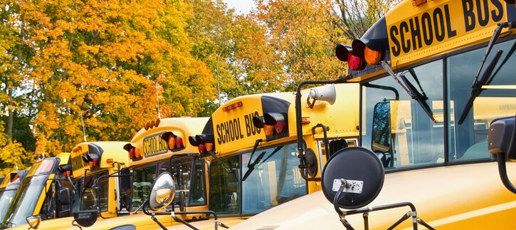 Image of bus driver 